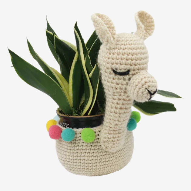 DIY Crochet Plant Holder Kit - Llama