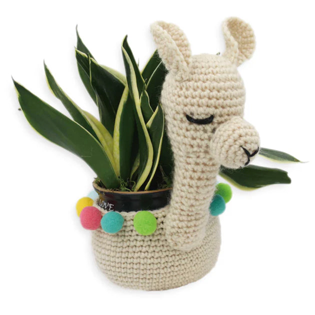DIY Crochet Plant Holder Kit - Llama