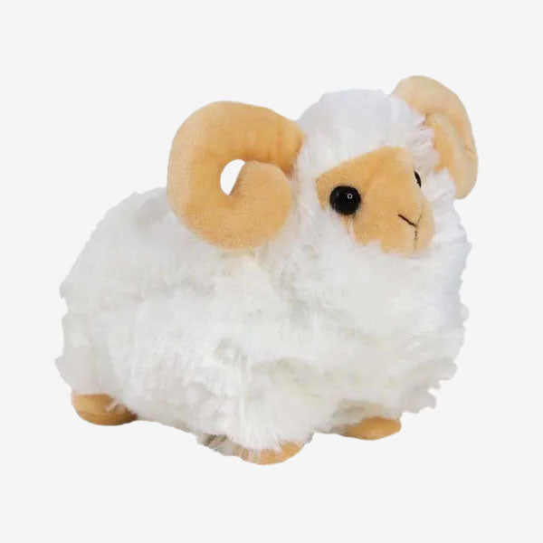 Elka Macarthur Ram