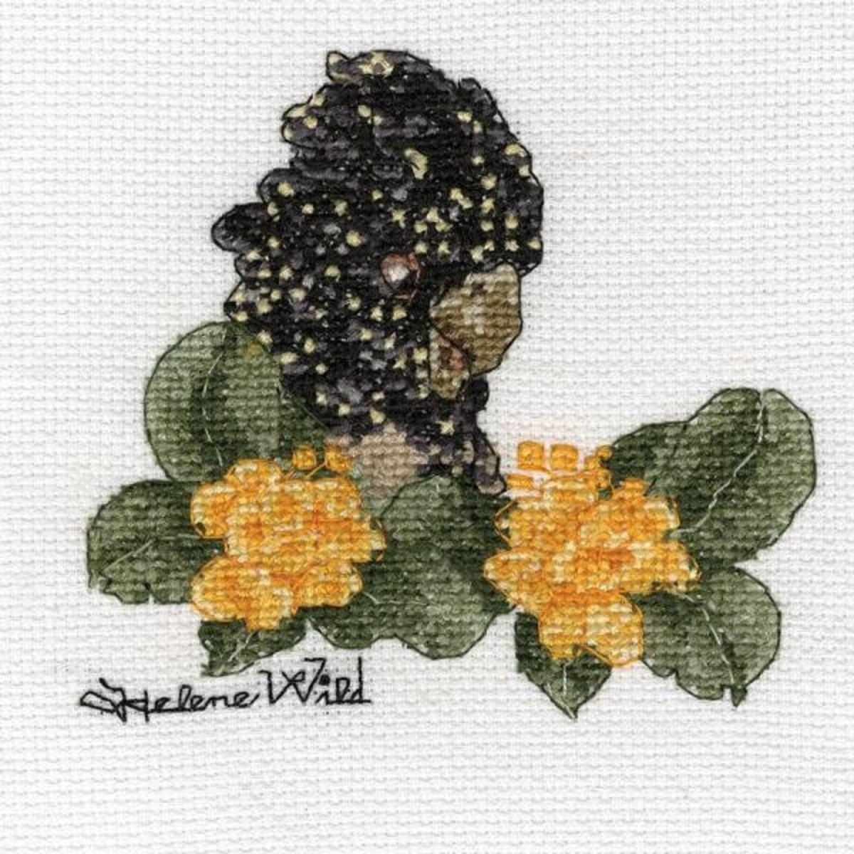Australiana Counted Cross Stitch Kit - Helene Wild - black cockatoo