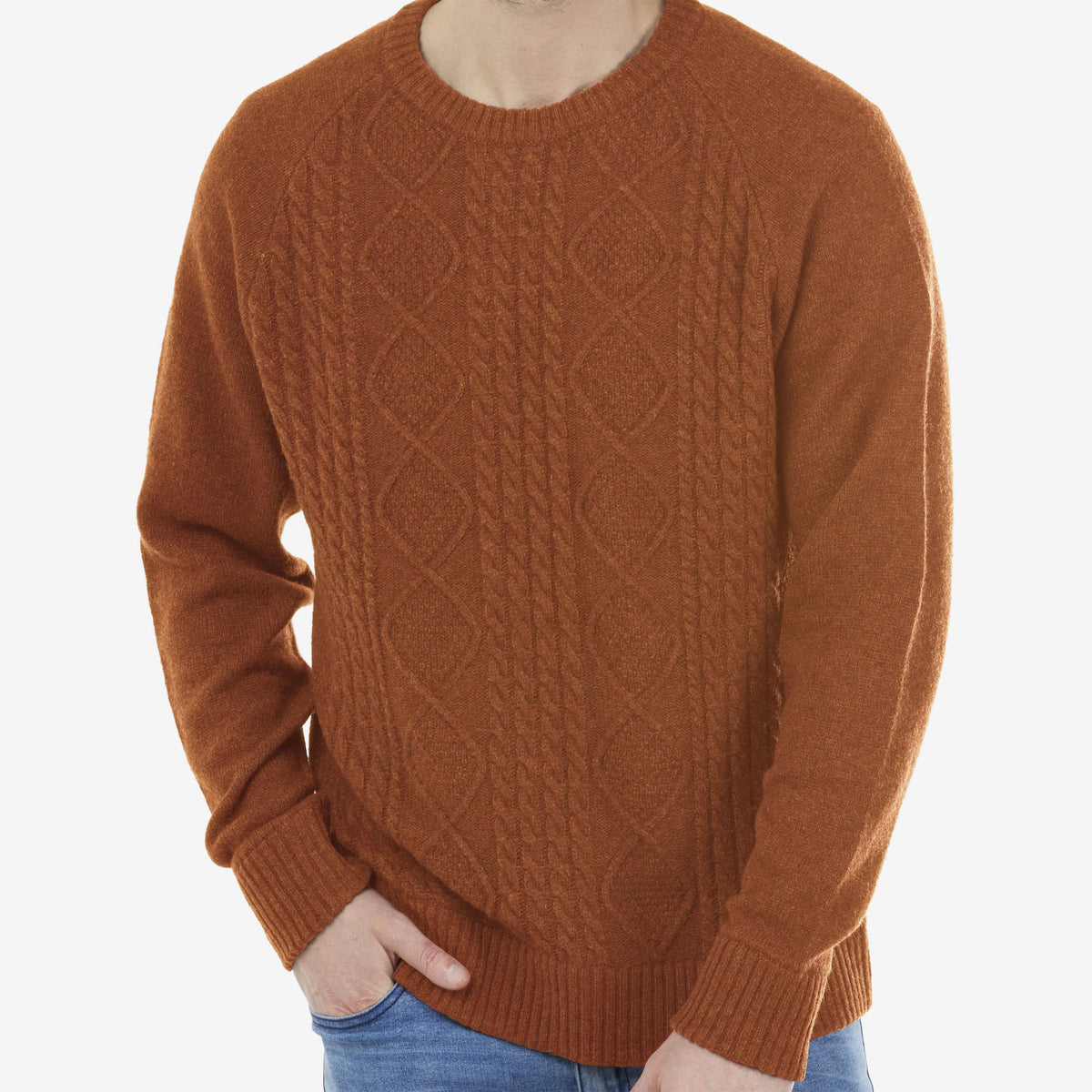 Bridge & Lord Men's Cable Crew Pullover