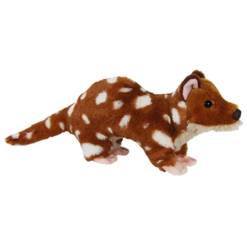 Elka Spotted Quoll