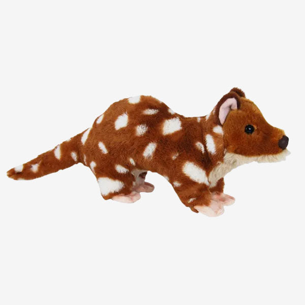 Elka Spotted Quoll