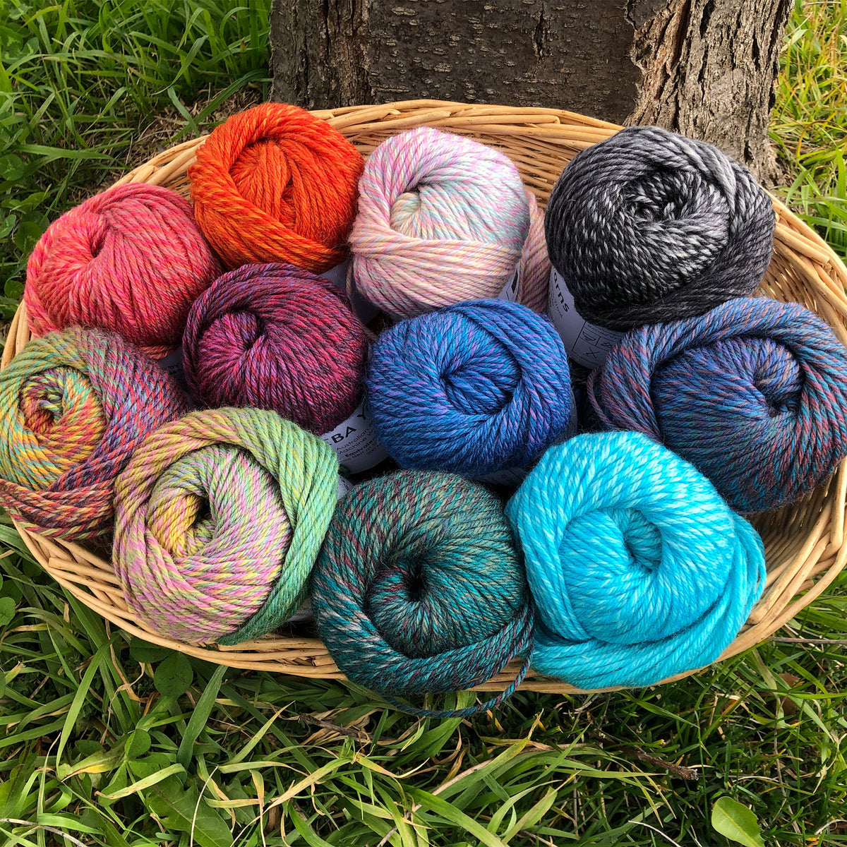 SHEBA Yarn - 8 ply Superwash 100g