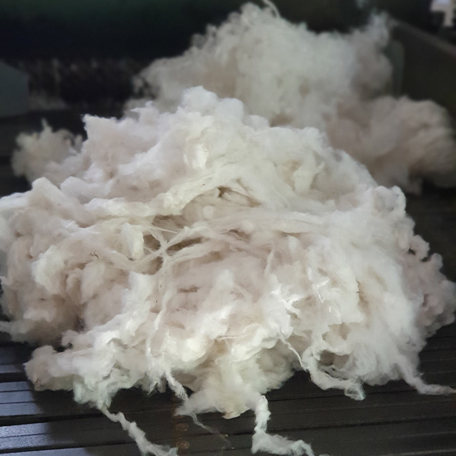 Scoured Tasmanian Merino Wool - Spin Weave Felt dye - Nundle Woollen Mill