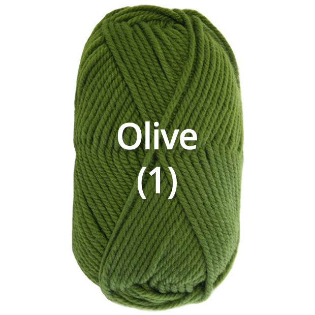 Olive (1) - Nundle Collection 8 Ply Feltable Yarn
